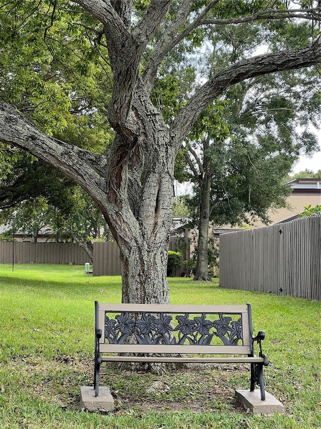 view of community with a yard