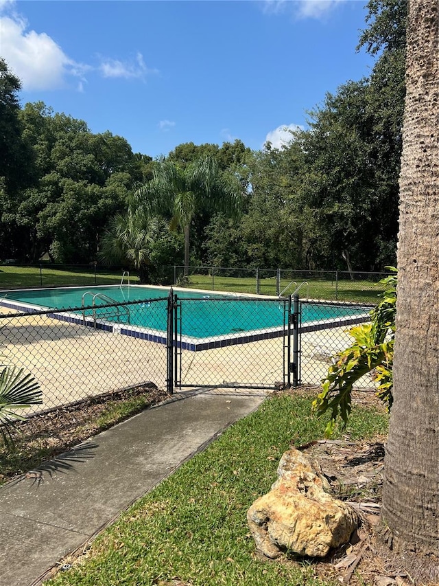 view of swimming pool