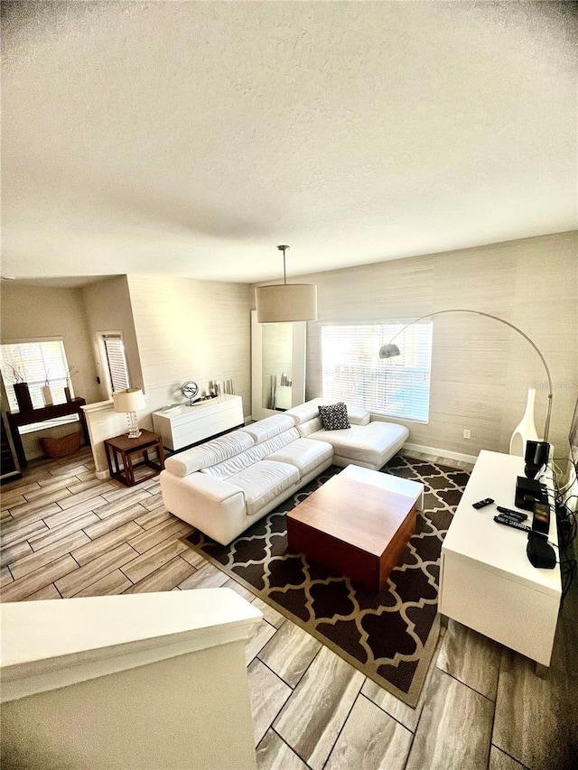 living room featuring a textured ceiling and wood-type flooring