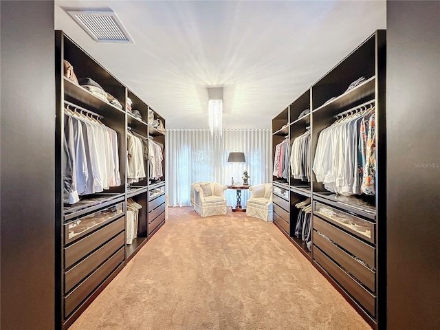 spacious closet with carpet floors