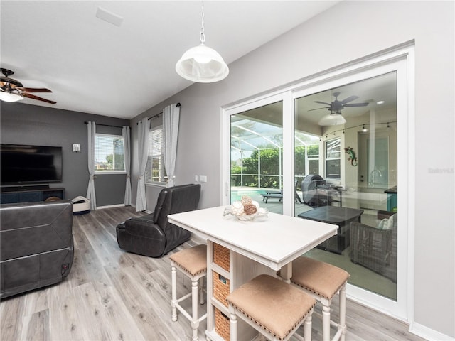 dining area with light hardwood / wood-style flooring, ceiling fan, and plenty of natural light