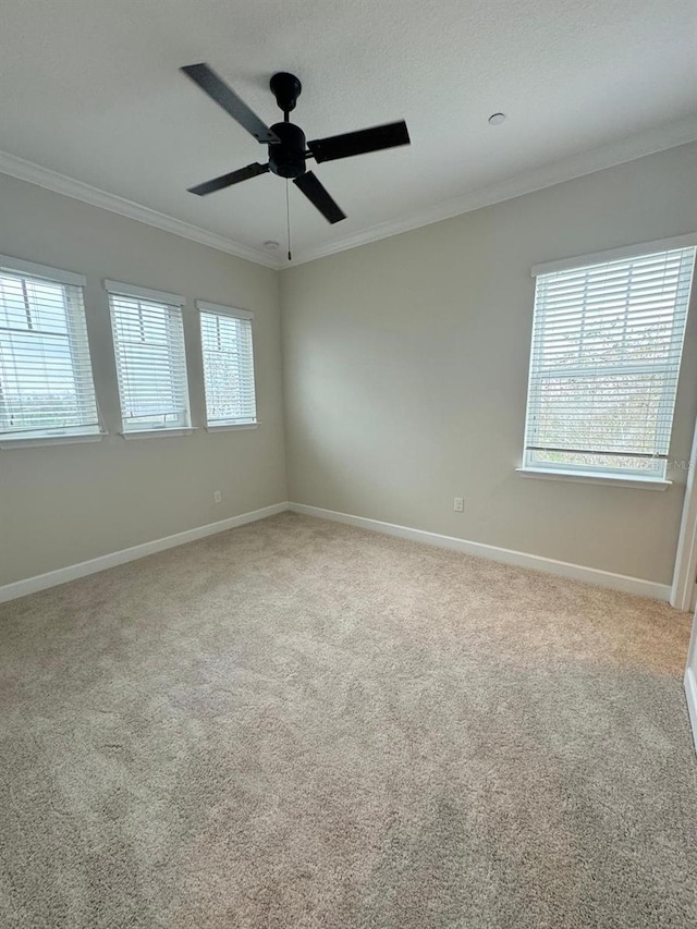 carpeted spare room with ceiling fan and ornamental molding