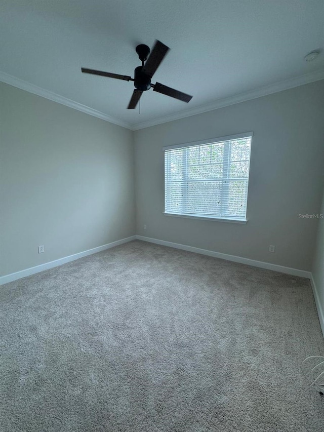 unfurnished room featuring carpet, ceiling fan, and ornamental molding