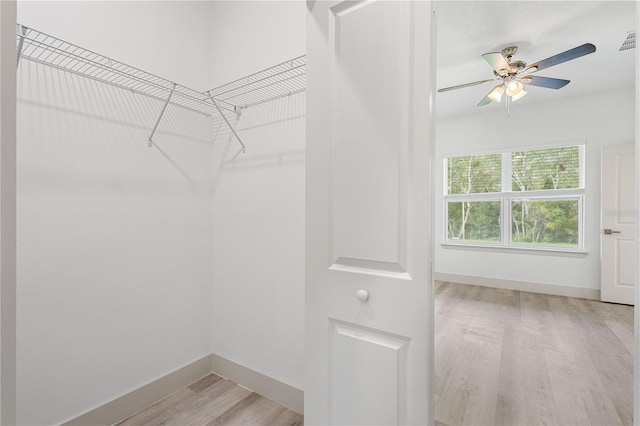 spacious closet featuring ceiling fan and light wood-type flooring