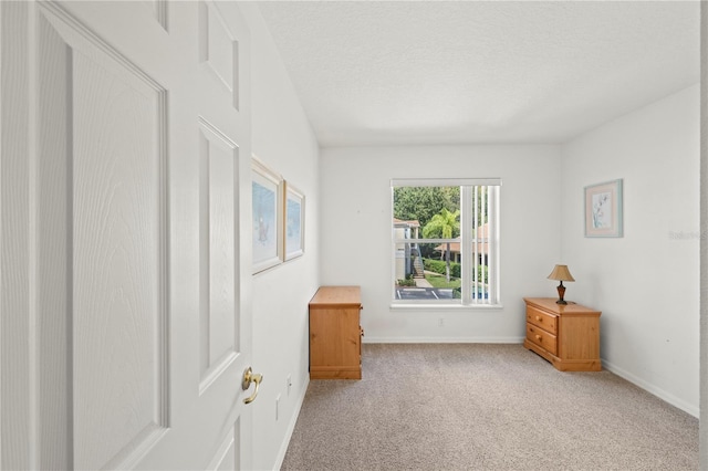 empty room featuring carpet floors and a textured ceiling