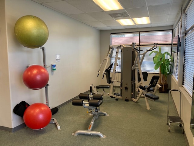 gym featuring a drop ceiling and carpet floors