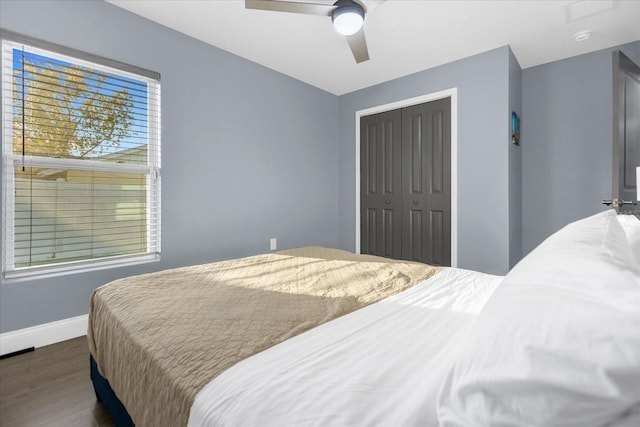 bedroom featuring a closet, dark hardwood / wood-style flooring, and ceiling fan