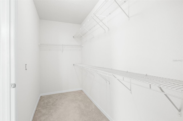 spacious closet featuring light colored carpet