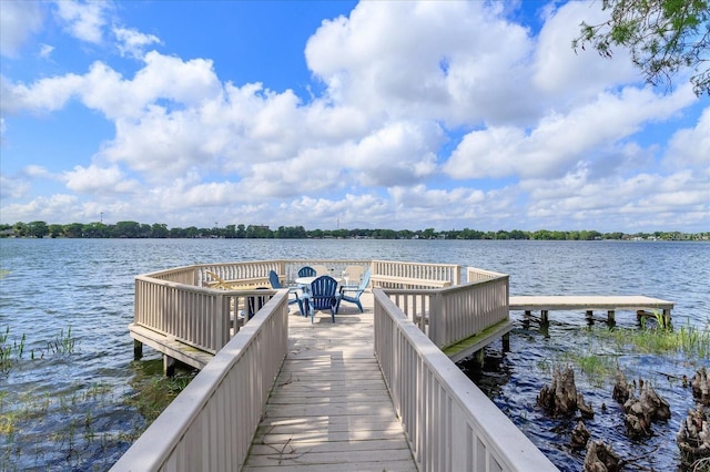 dock area with a water view