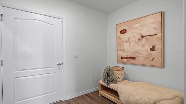 living area with dark hardwood / wood-style flooring