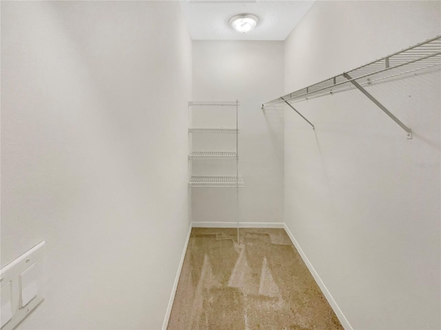 spacious closet featuring light colored carpet