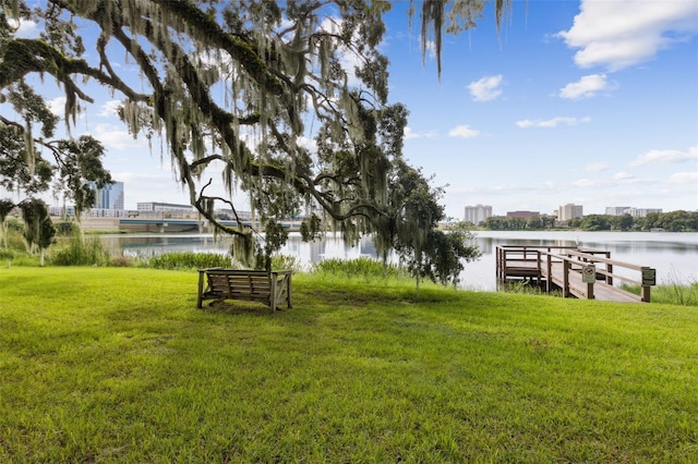 dock area with a yard and a water view