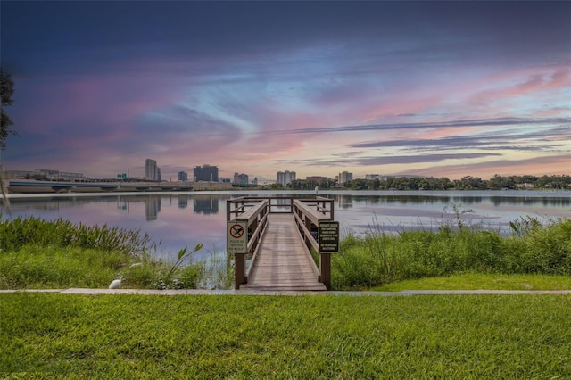 dock area with a yard and a water view