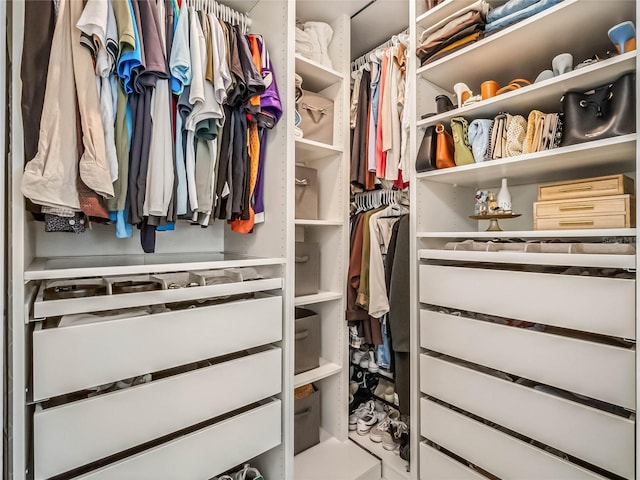 view of walk in closet