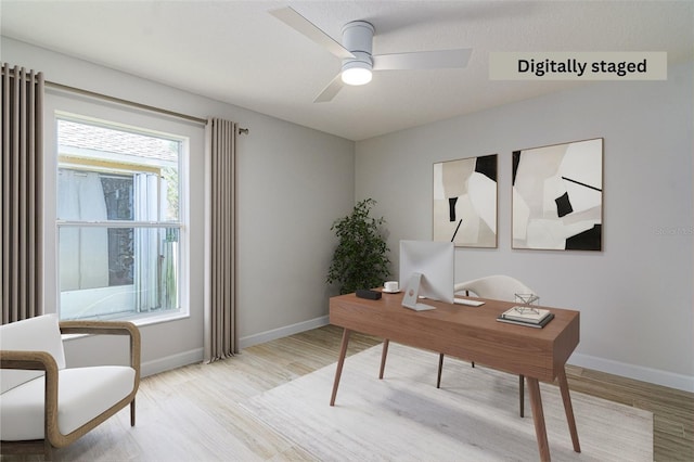 office featuring ceiling fan and light hardwood / wood-style flooring