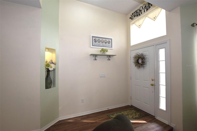 foyer with dark wood-type flooring and plenty of natural light