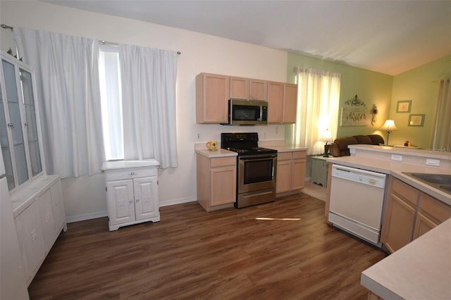 kitchen with light brown cabinets, dark hardwood / wood-style floors, stainless steel appliances, and plenty of natural light