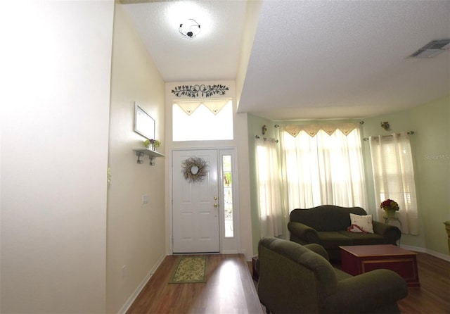 entrance foyer featuring a textured ceiling, wood-type flooring, and plenty of natural light