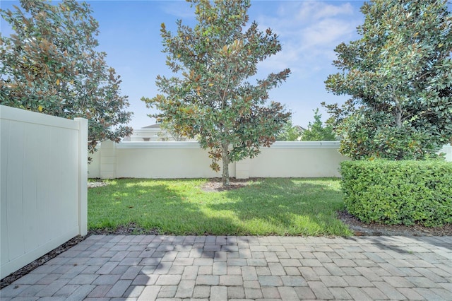 view of yard with a patio