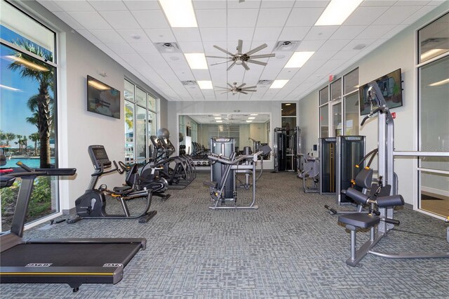 workout area featuring a paneled ceiling, carpet floors, and a wealth of natural light