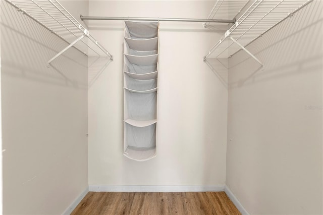 spacious closet featuring hardwood / wood-style flooring