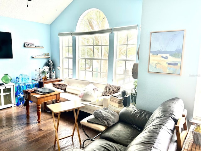 living room featuring vaulted ceiling and dark hardwood / wood-style floors