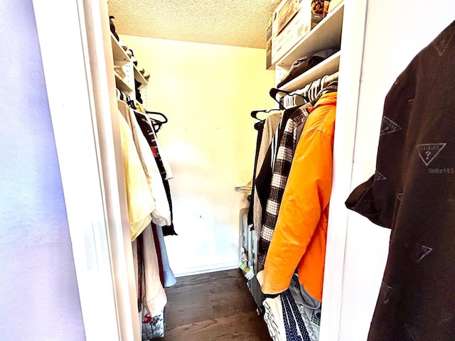 spacious closet with dark hardwood / wood-style floors