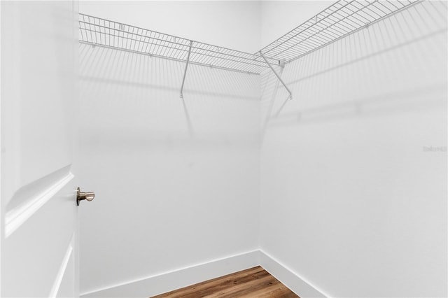 spacious closet featuring hardwood / wood-style floors