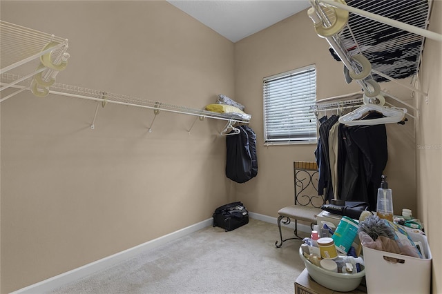 spacious closet with carpet flooring