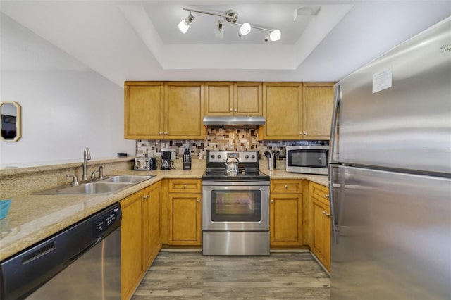 kitchen with sink, decorative backsplash, appliances with stainless steel finishes, and a raised ceiling