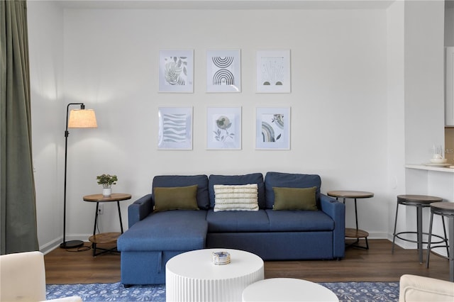 living room with dark wood-type flooring