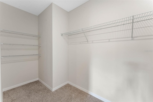 spacious closet with carpet floors