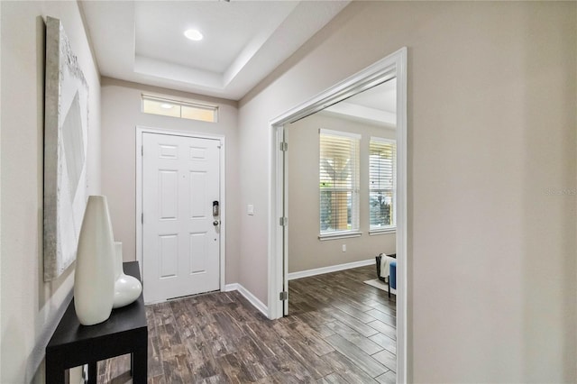 foyer with a tray ceiling and dark wood-type flooring