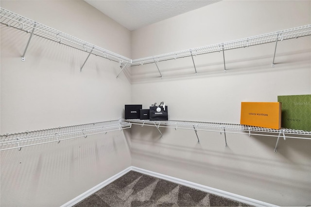 walk in closet featuring carpet floors