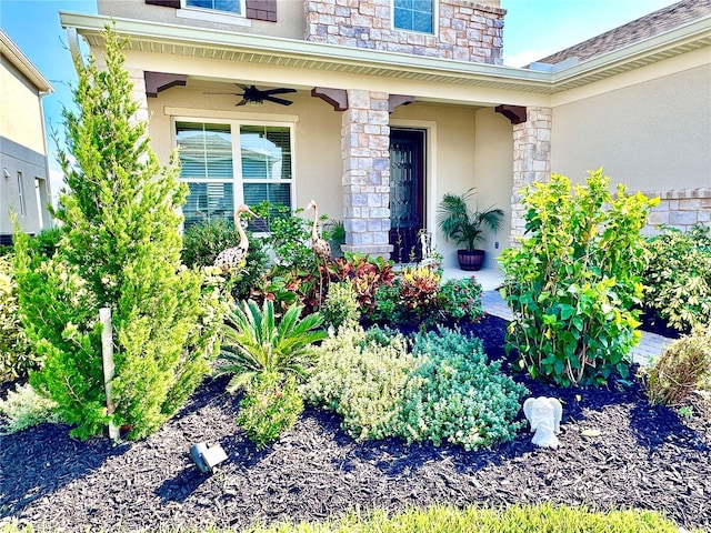 view of exterior entry featuring ceiling fan