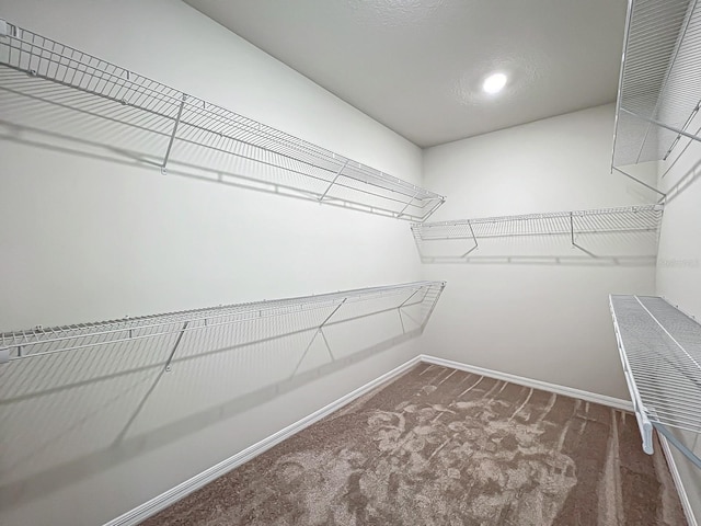 walk in closet featuring carpet floors