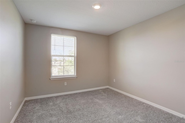 spare room featuring carpet floors