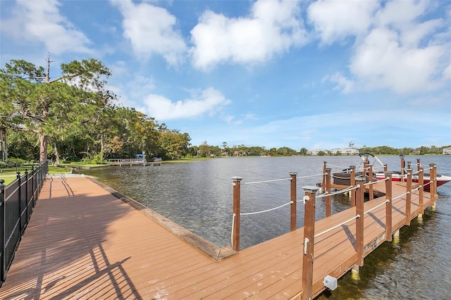 dock area with a water view