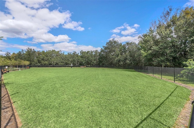 view of yard with a rural view