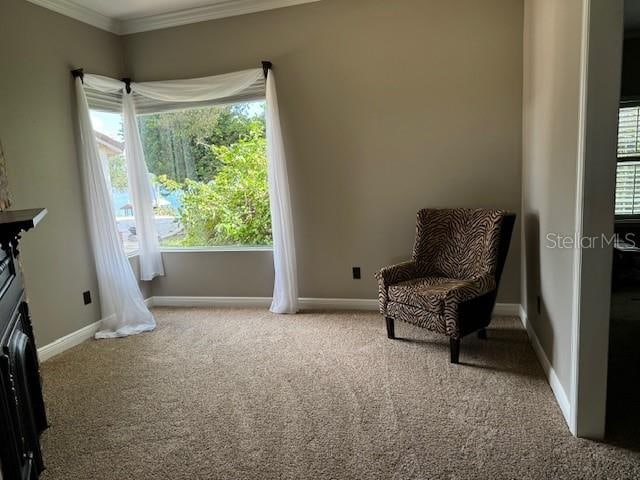 living area with light carpet, a healthy amount of sunlight, and ornamental molding