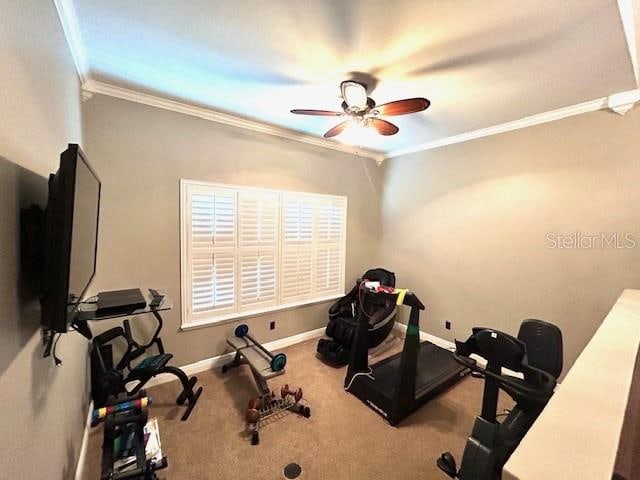 workout area featuring ceiling fan, carpet floors, and ornamental molding