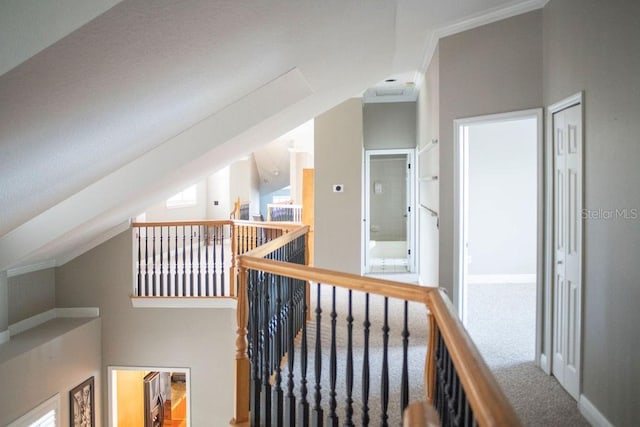 hallway with carpet, vaulted ceiling, and ornamental molding