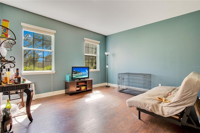 living area featuring hardwood / wood-style floors