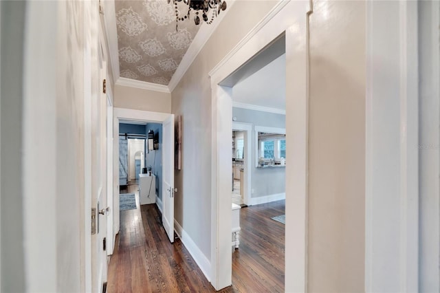 hall with crown molding and dark hardwood / wood-style floors