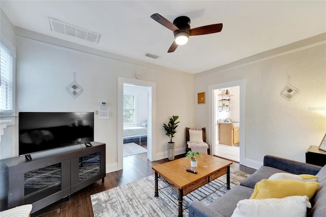 living room featuring ceiling fan and dark hardwood / wood-style floors