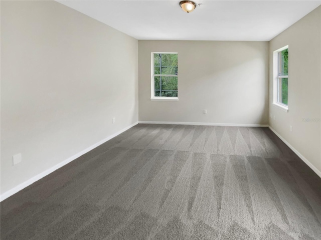 10472 Eastpark Lake Dr, Orlando, FL 32832 - photo 28