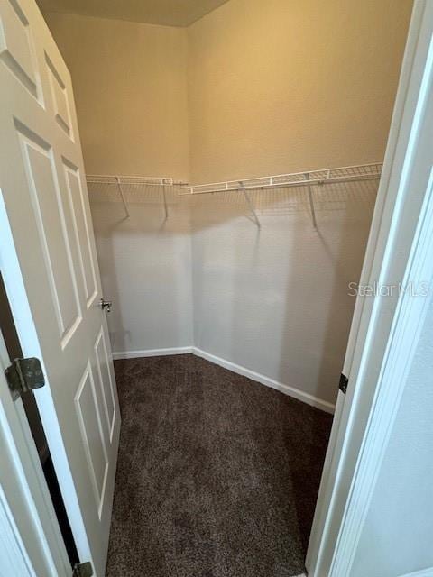 spacious closet featuring dark colored carpet