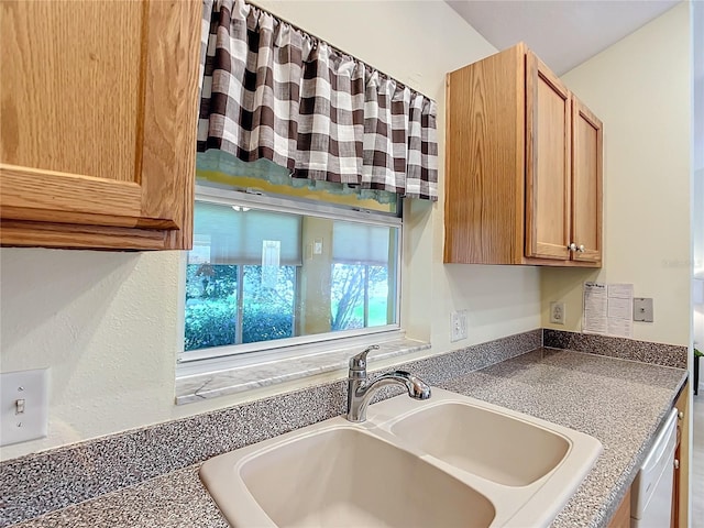 kitchen featuring sink and dishwasher