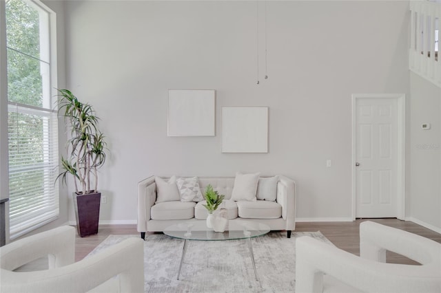 living room featuring a high ceiling and hardwood / wood-style flooring