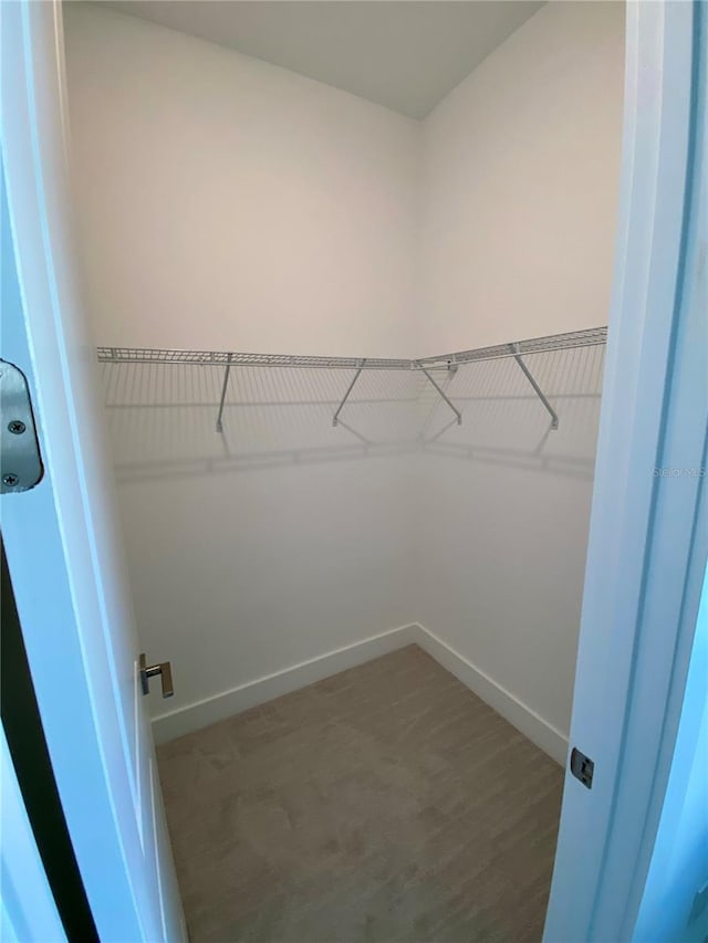 spacious closet with carpet flooring